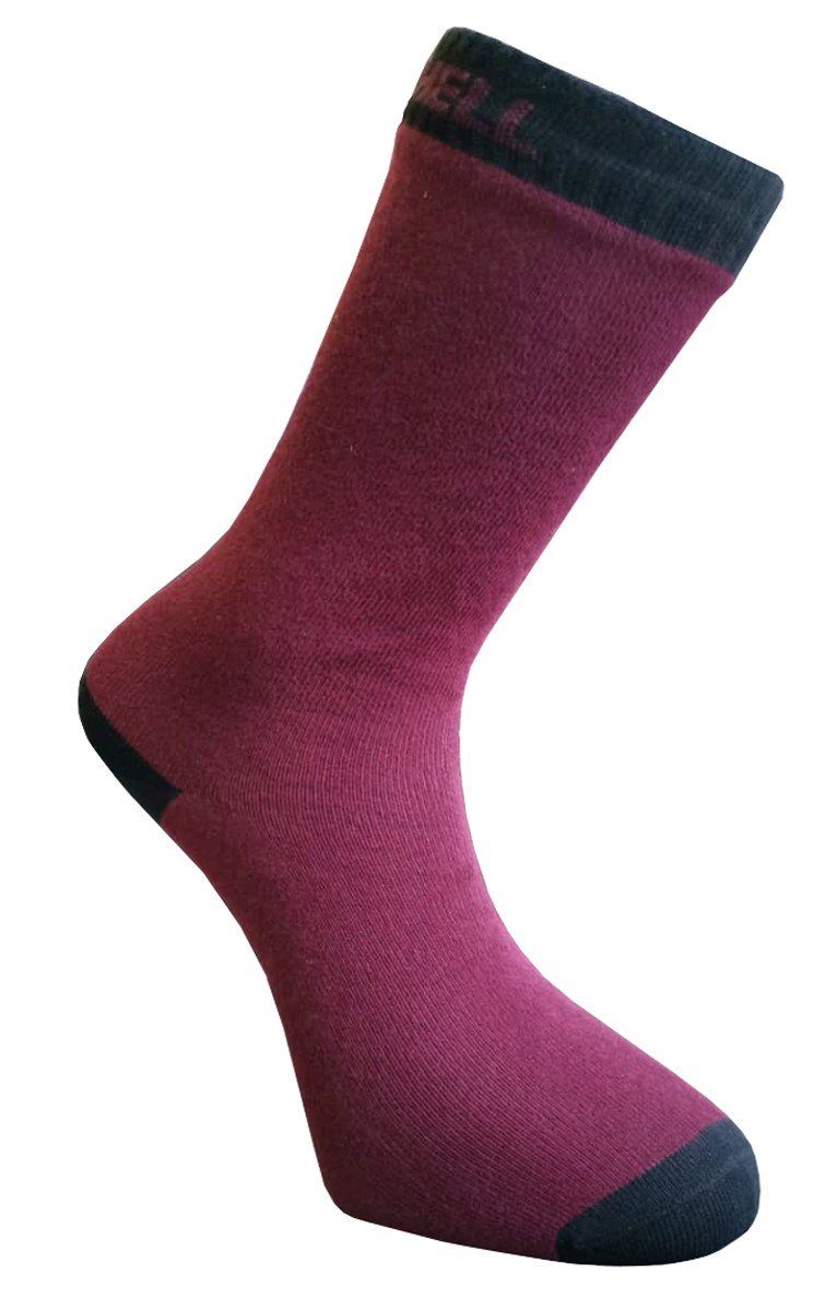 burgundy black Crew Funktionssocken Sock Thin Ultra Trangia