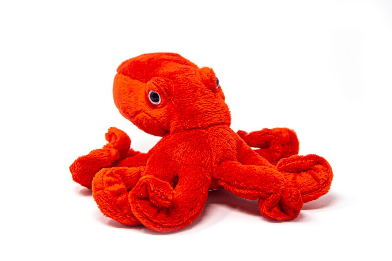 Cornelißen Kuscheltier Cornelissen - Kuscheltier - Oktopus - 20 cm