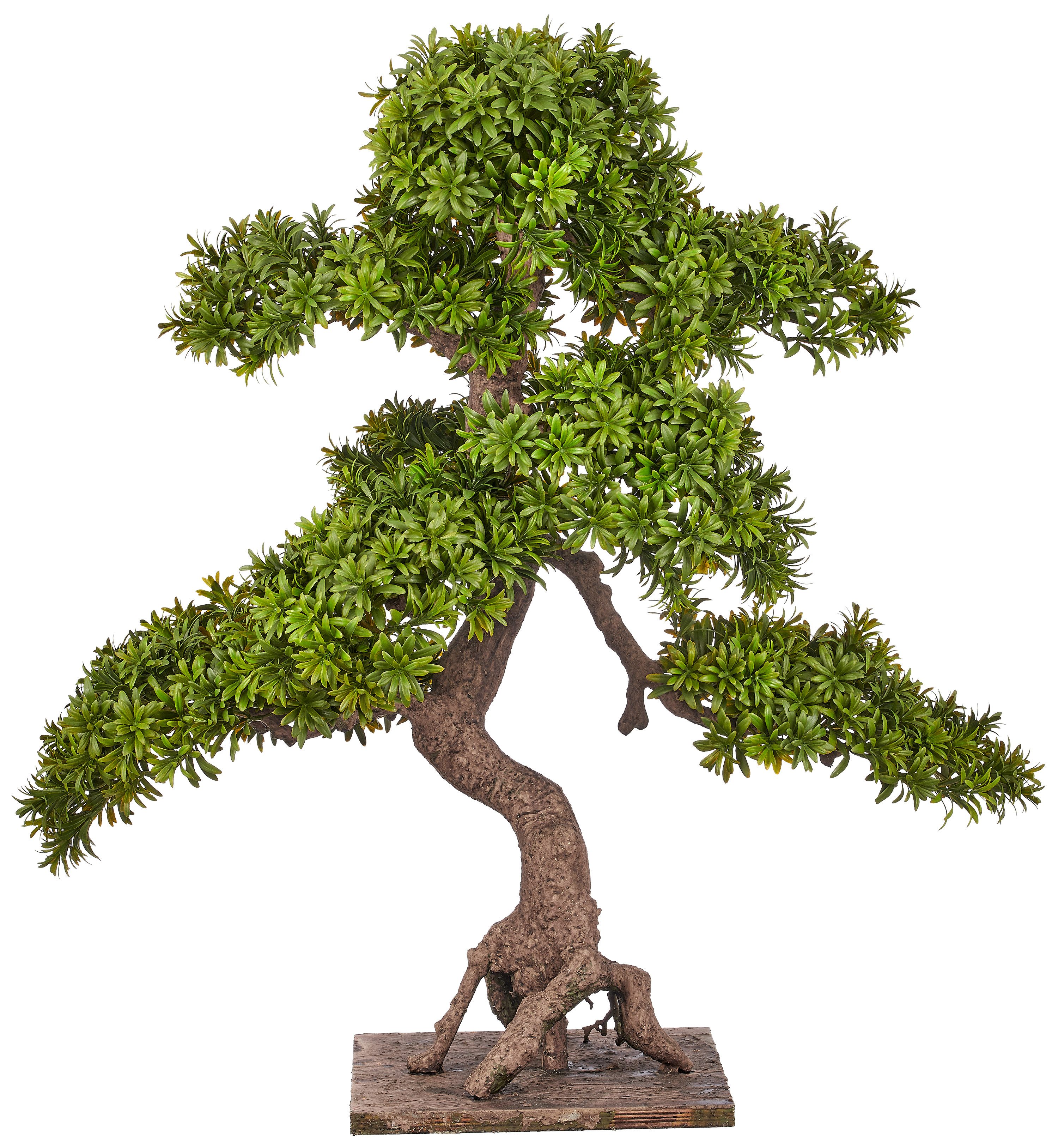 Kunstbonsai Bonsai Podocarpus macrophyllus, Creativ green, Höhe 80 cm, in naturgetreuer Gestaltung