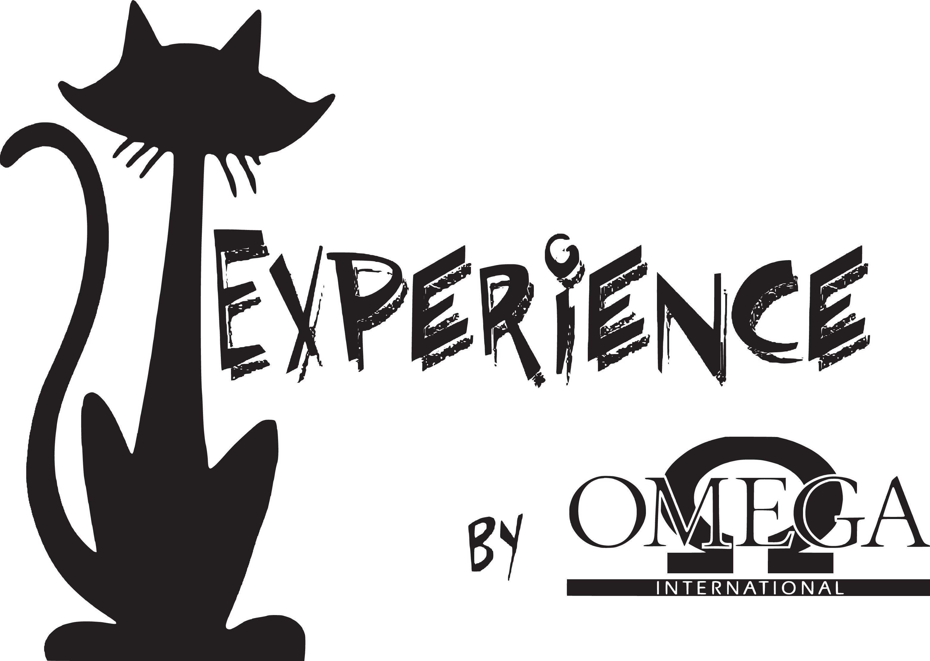 EXPERIENCE