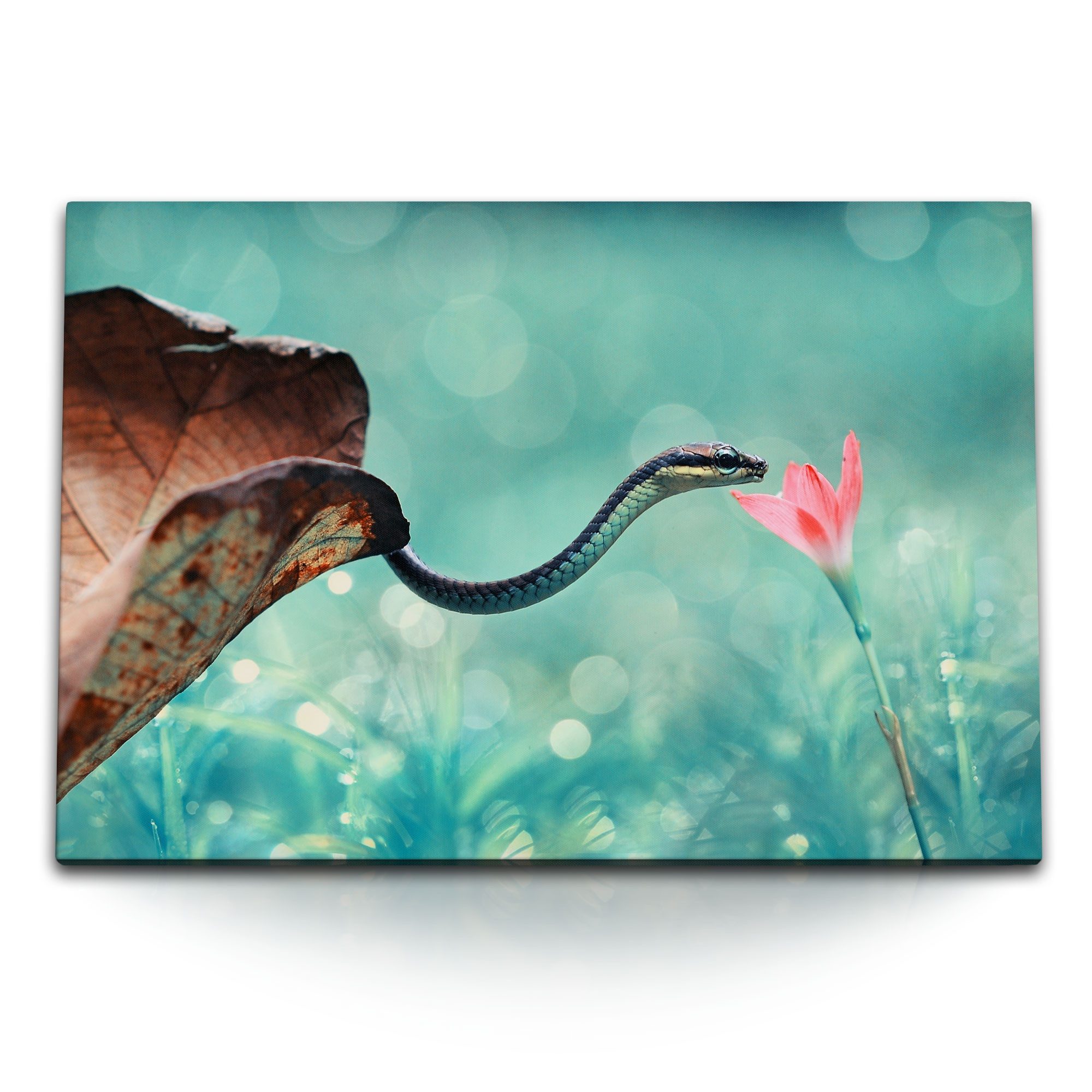Leinwandbild 120x80cm Wandbild auf Leinwand Kleine Schlange exotische Blume Tierfot