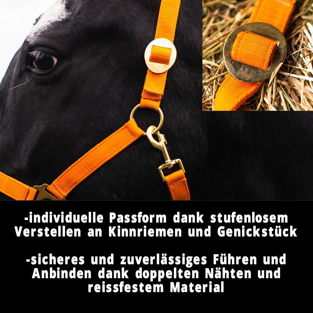 Halfter Pferde zweifach orange Genickstück, Halfter verstellbar an verstellbar 2-Fach für und Pferdelinis Kinnriemen