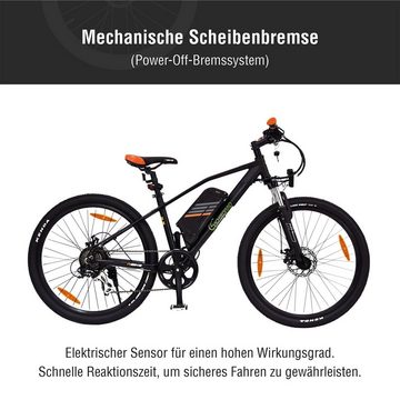 SachsenRAD E-Bike Sachsenrad R6 E-Racing Mountain Bike 27,5 Zoll