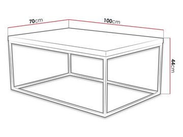 MIRJAN24 Couchtisch Cubic, Vierkantrohrrahmen aus Metall, 100x70x44 cm