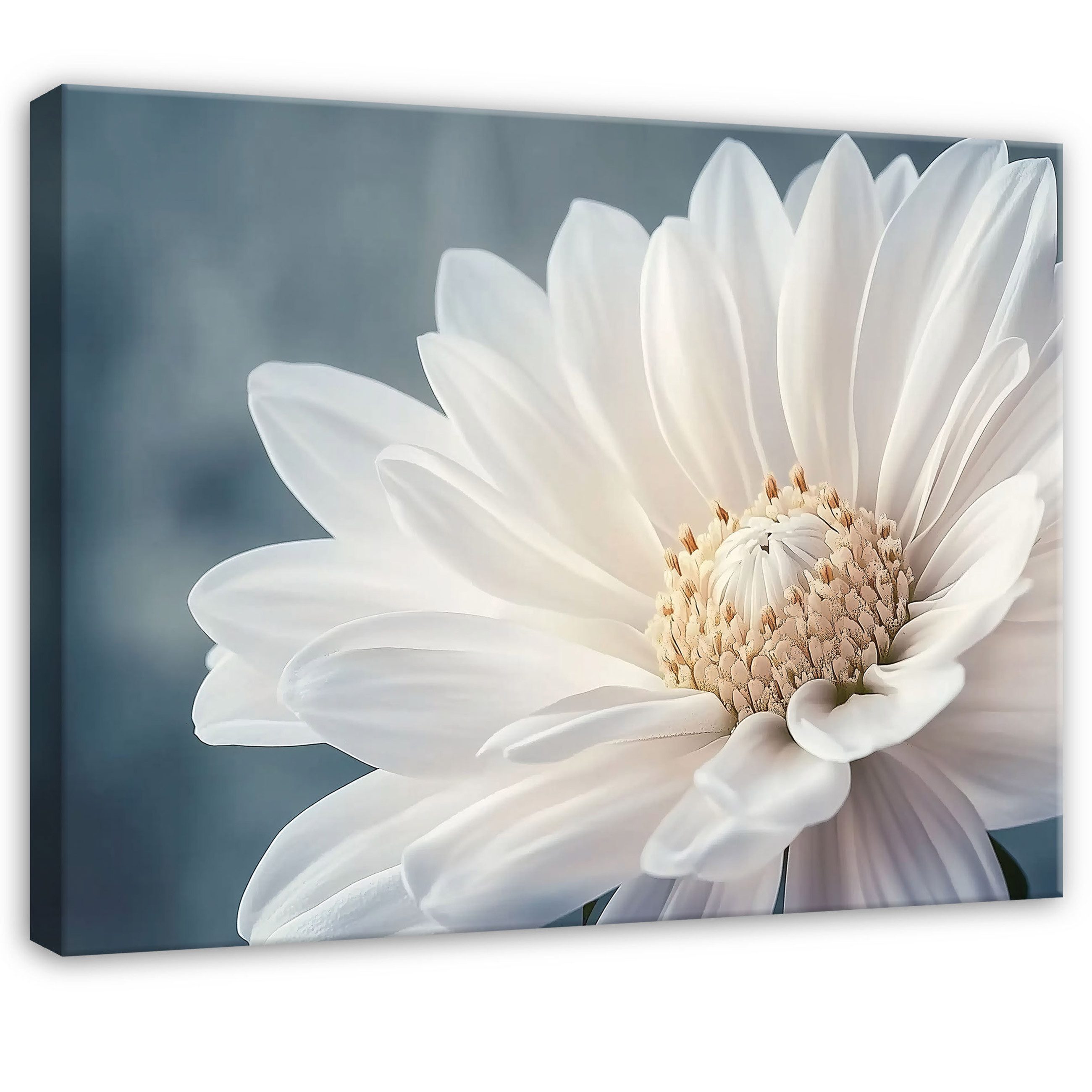 Leinwandbild Blume Weiß Blau Modern Wandbilder Wand Deko XXL Bilder