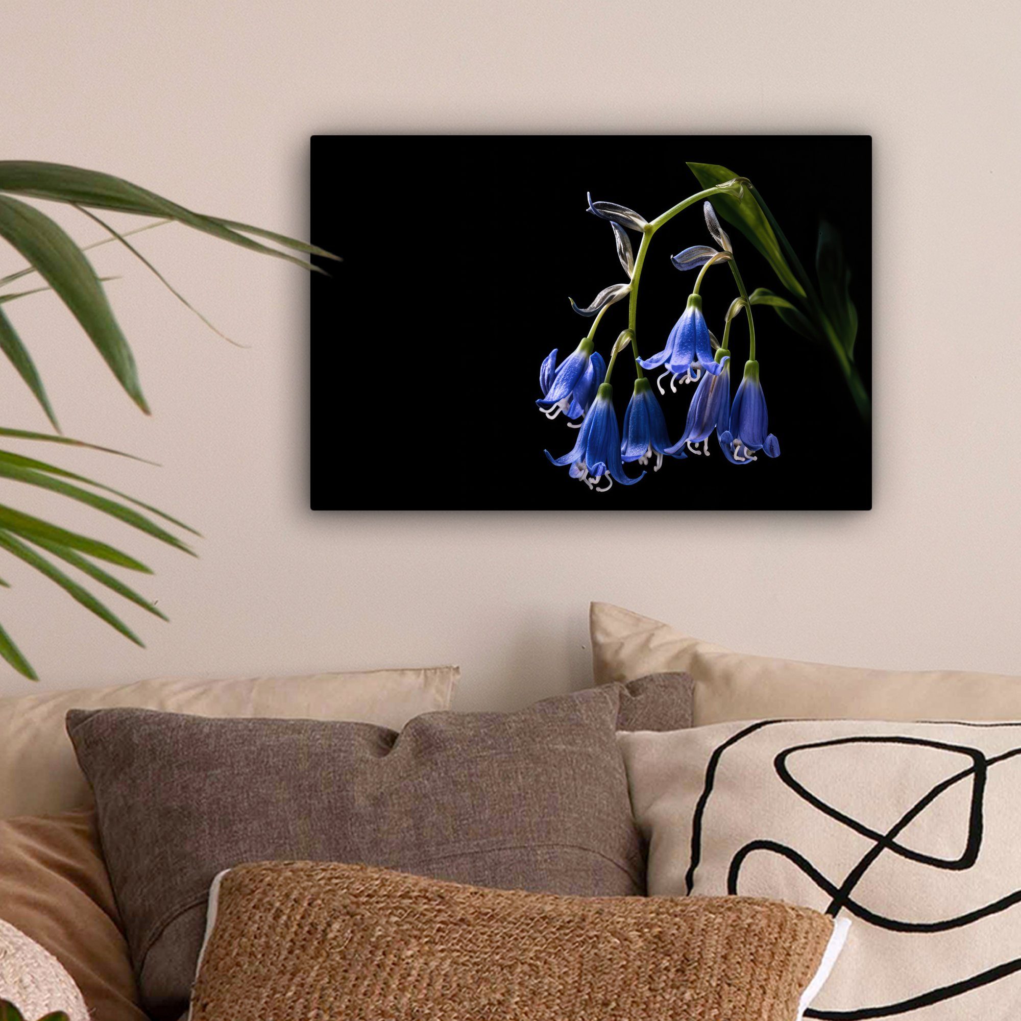 - Blumen - Leinwandbilder, - 30x20 Natur cm Hyazinthe Aufhängefertig, St), Schwarz, Blau Wandbild OneMillionCanvasses® - Wanddeko, Leinwandbild (1