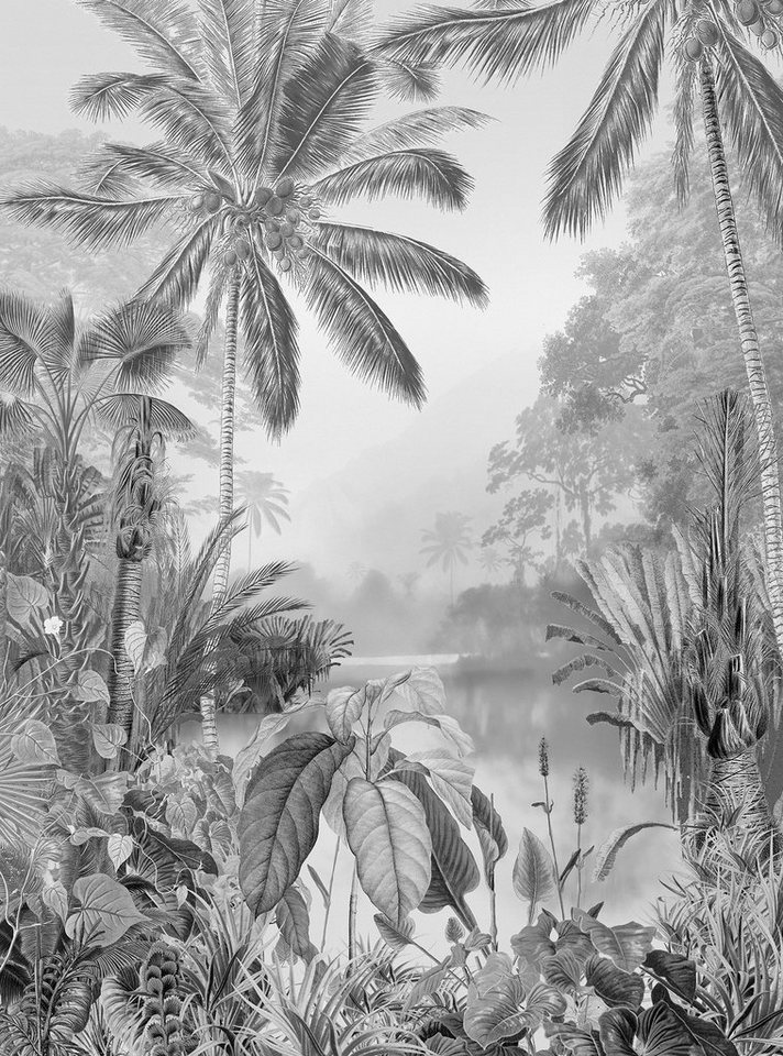 Komar Vliestapete Lac Tropical Black & White, (1 St), 200x270 cm (Breite x  Höhe), Vliestapete, 100