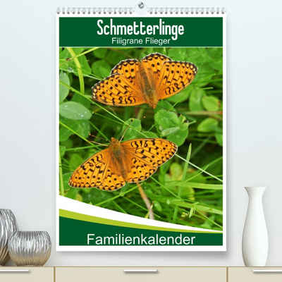 CALVENDO Wandkalender Schmetterlinge: Filigrane Flieger / Familienkalender (Premium, hochwertiger DIN A2 Wandkalender 2023, Kunstdruck in Hochglanz)