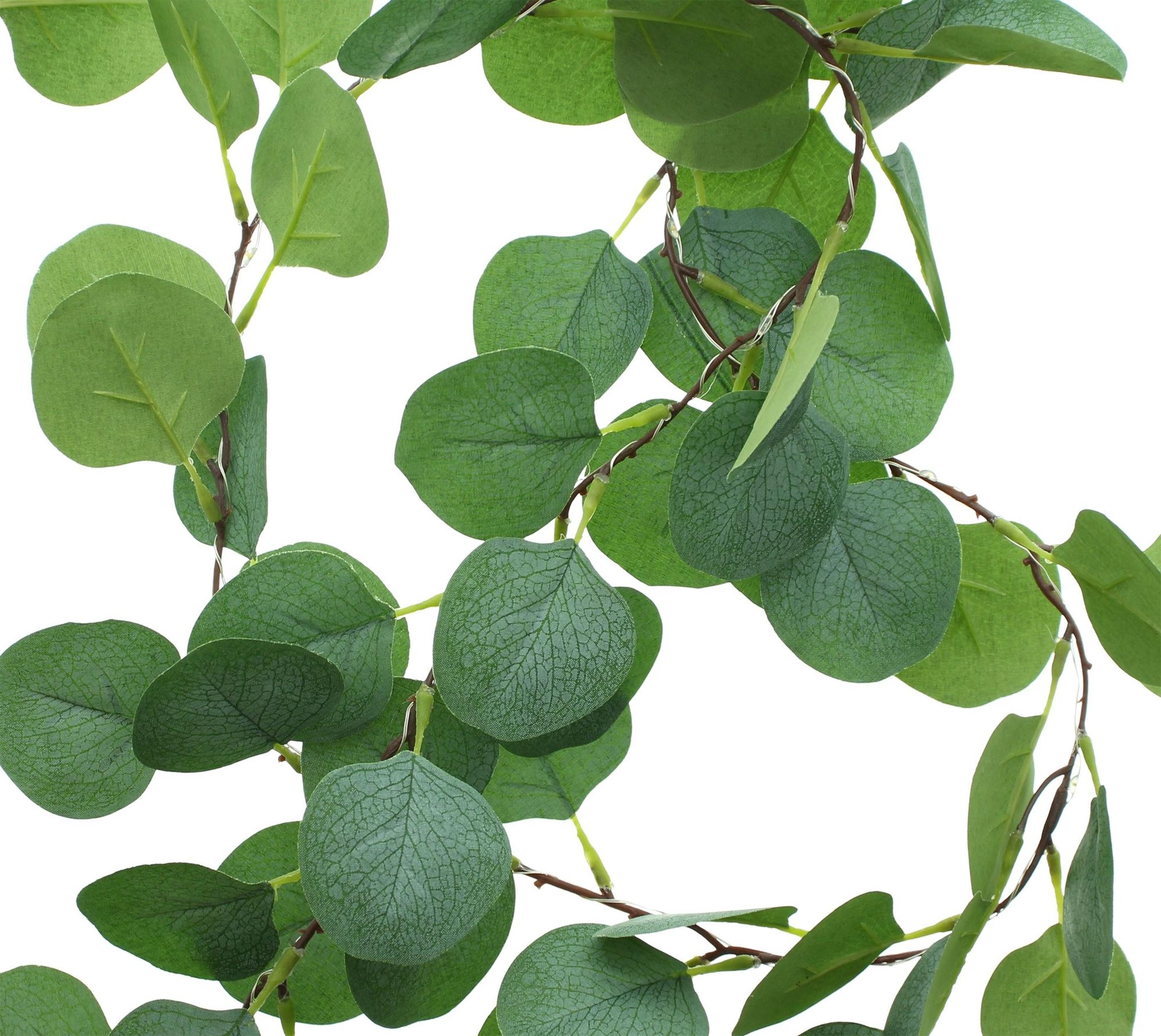 Frank Flechtwaren LED Dekoobjekt LED-Lichterkette "Eukalyptus"