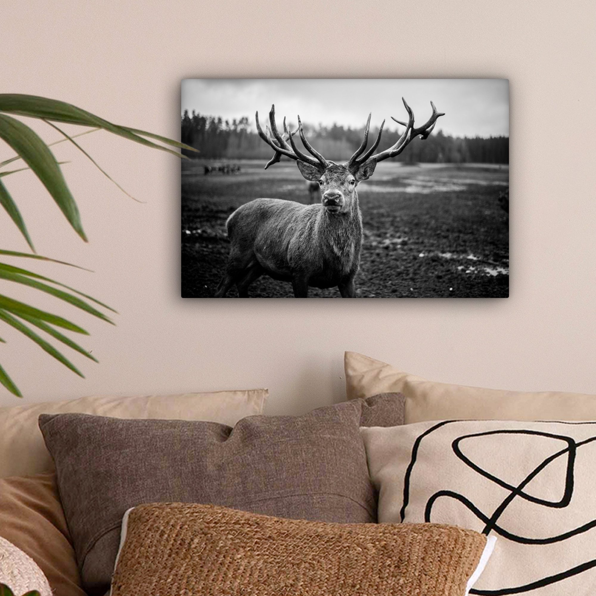 OneMillionCanvasses® Leinwandbild Tiere - Hirsch - Geweih - Schwarz und wei günstig online kaufen