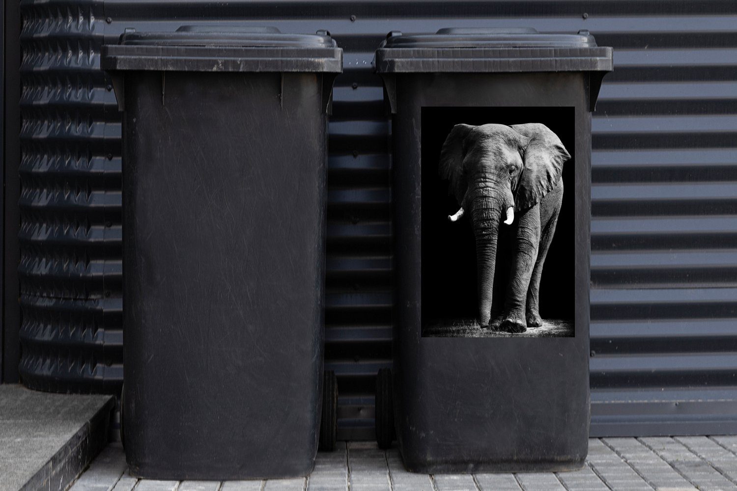Wilde - MuchoWow - Container, Abfalbehälter Mülltonne, Tiere (1 - Elefant St), Schwarz Sticker, Weiß Wandsticker Mülleimer-aufkleber,