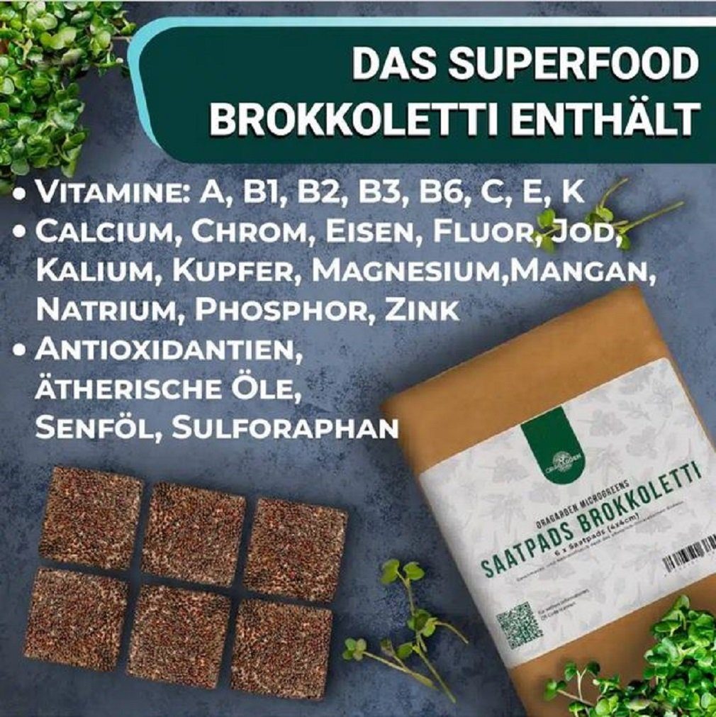 OraGarden Kräutertopf Soil MicroGreens Kräuter-Saatpads Superfood (6 Stück) - div. Sorten