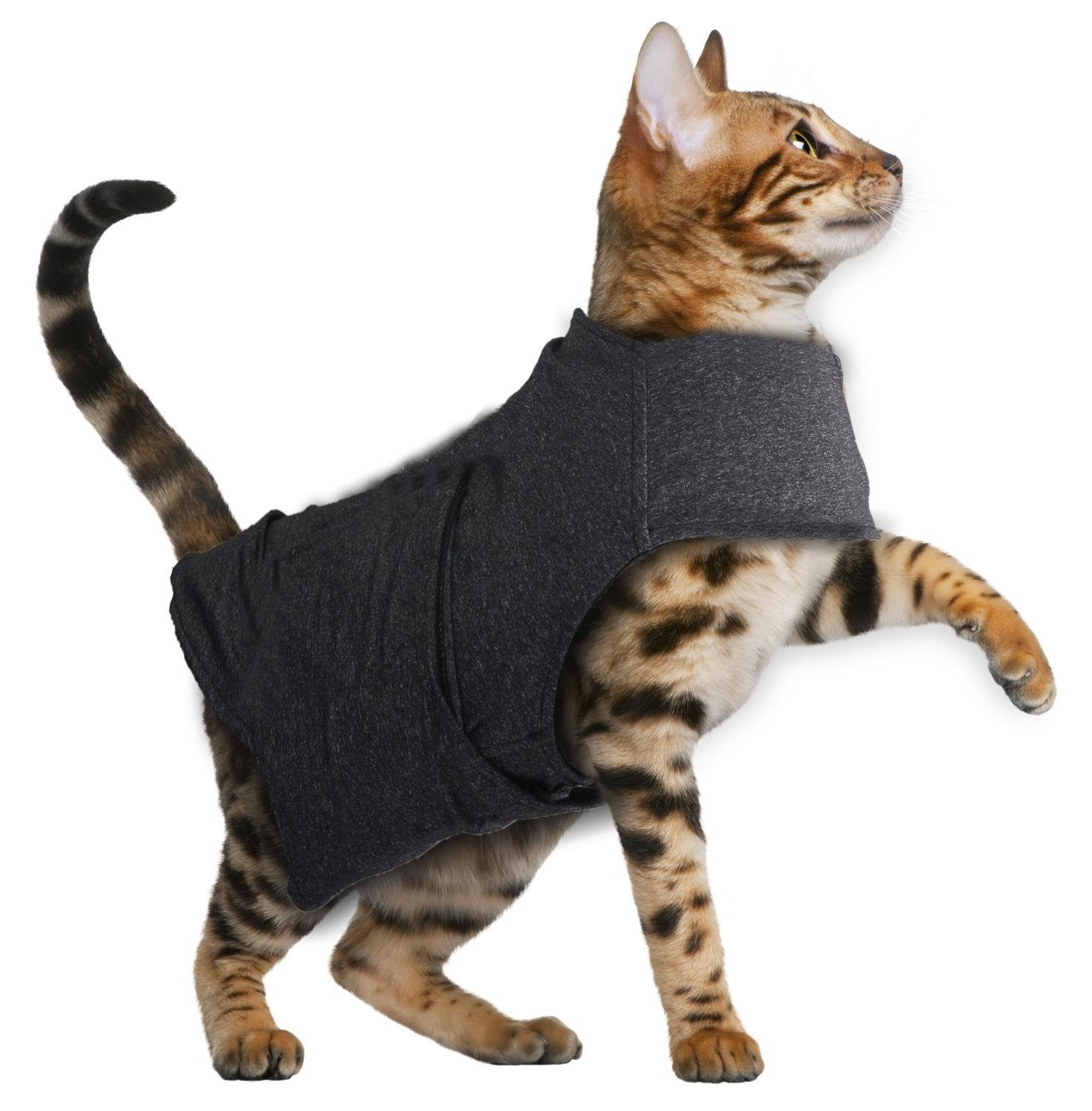 PETGARD Hundekostüm Beruhigungsweste Hundemantel, Anti-Angst Jacke für Katzen bis 4 kg / 22 – 33 cm