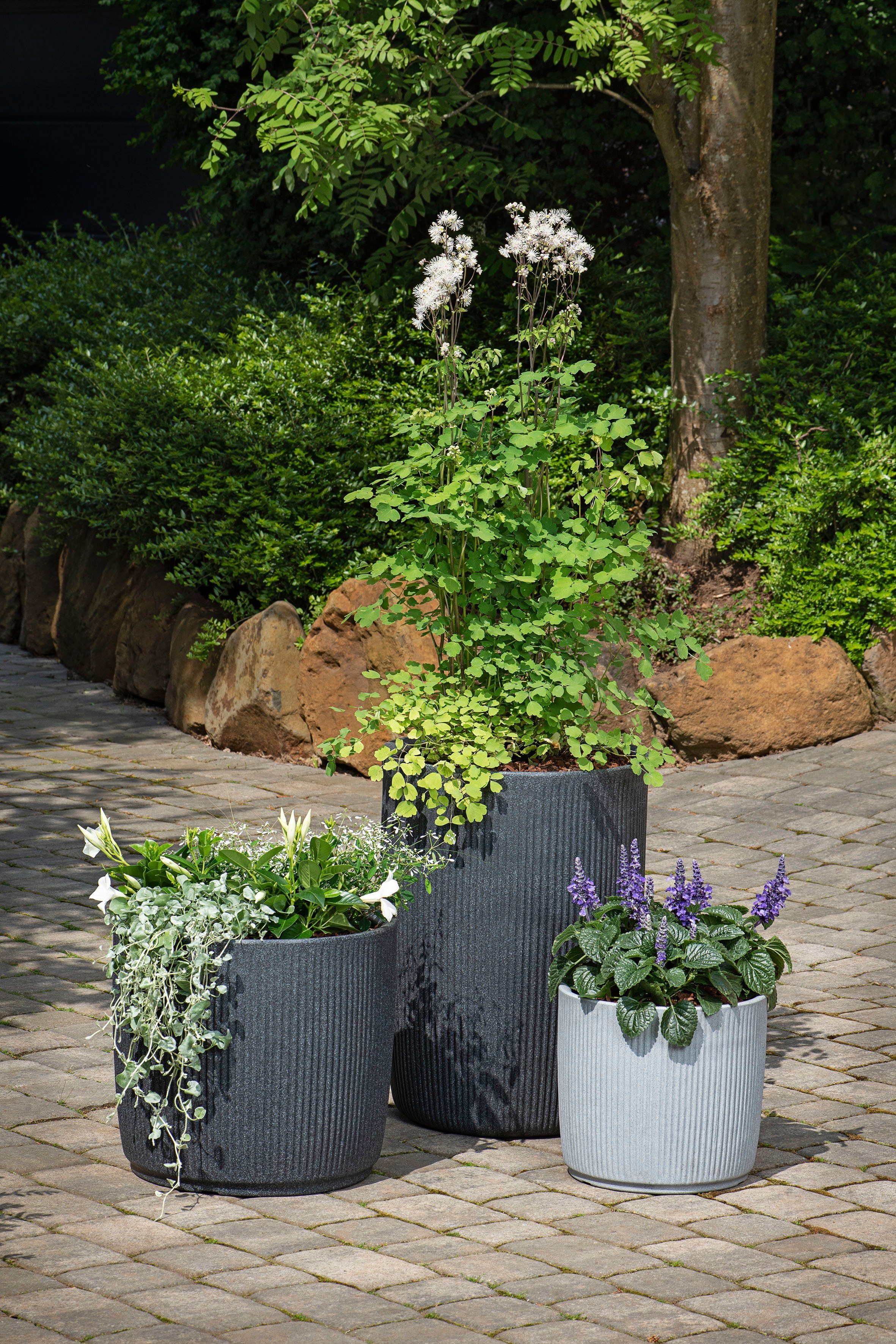 Scheurich Pflanzkübel 40/259 Linetto, dickwandiger Topf aus hochwertigem Kunststoff, ØxH: 38,6x35,3 cm