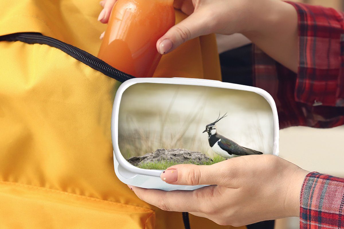 MuchoWow Lunchbox Vogel - für - Kunststoff, Kinder - Mädchen Natur Tiere für Brotdose, weiß Brotbox Jungs Kiebitz, - (2-tlg), Gras und Erwachsene, und