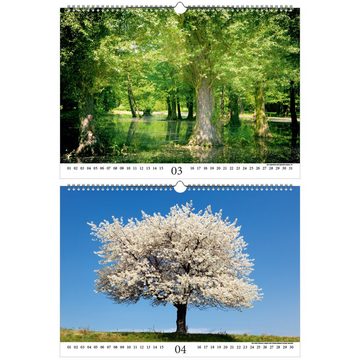 Seelenzauber ewige Kalender Baumzauber DIN A3 - Immerwährender Kalender Baum, Bäume und Wald -