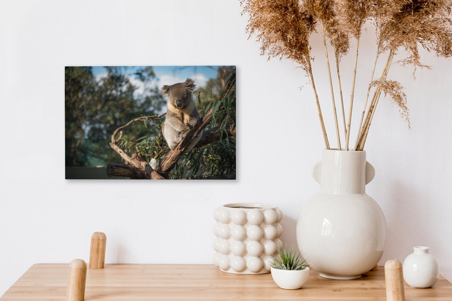 (1 30x20 St), OneMillionCanvasses® cm Wanddeko, Koala - Leinwandbild Australien, Eukalyptus Wandbild Leinwandbilder, Aufhängefertig, -