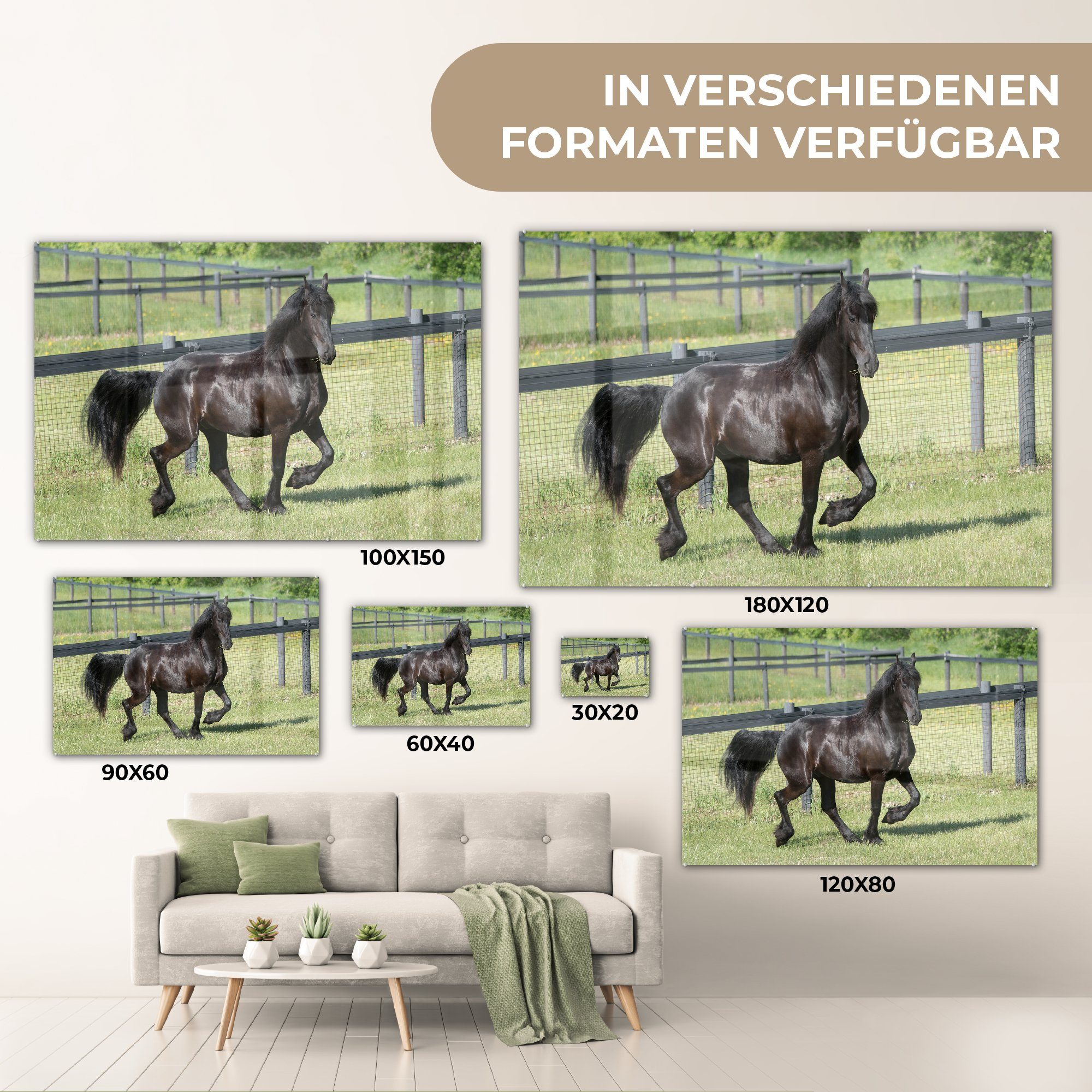 & Galopp, MuchoWow Acrylglasbilder Wohnzimmer (1 St), Acrylglasbild Friesisches Schlafzimmer im Pferd