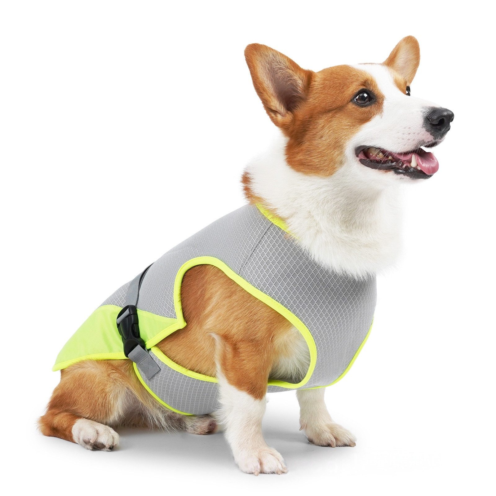 Diwzbyn Hundemantel Kühlweste für Hunde, Hundekühlungsmantel für heiße Sommertage, Kühljacke für Aktivitäten Draußen Wandern Training