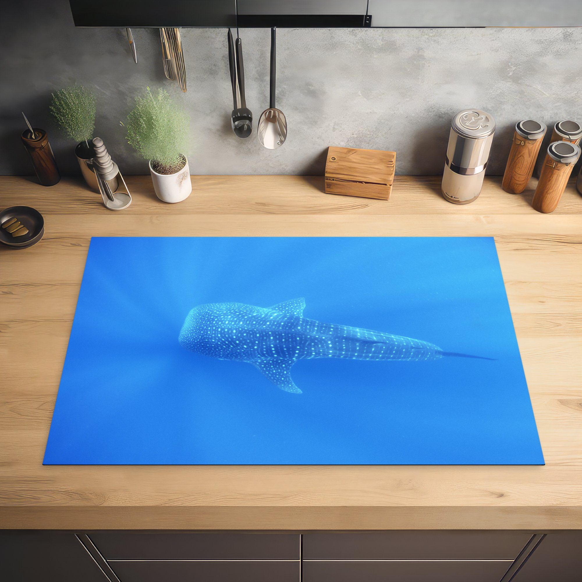Ein Walhai die (1 Vinyl, cm, Induktionskochfeld einem tlg), in Schutz küche, für MuchoWow Ceranfeldabdeckung Ozean, 81x52 Herdblende-/Abdeckplatte klaren