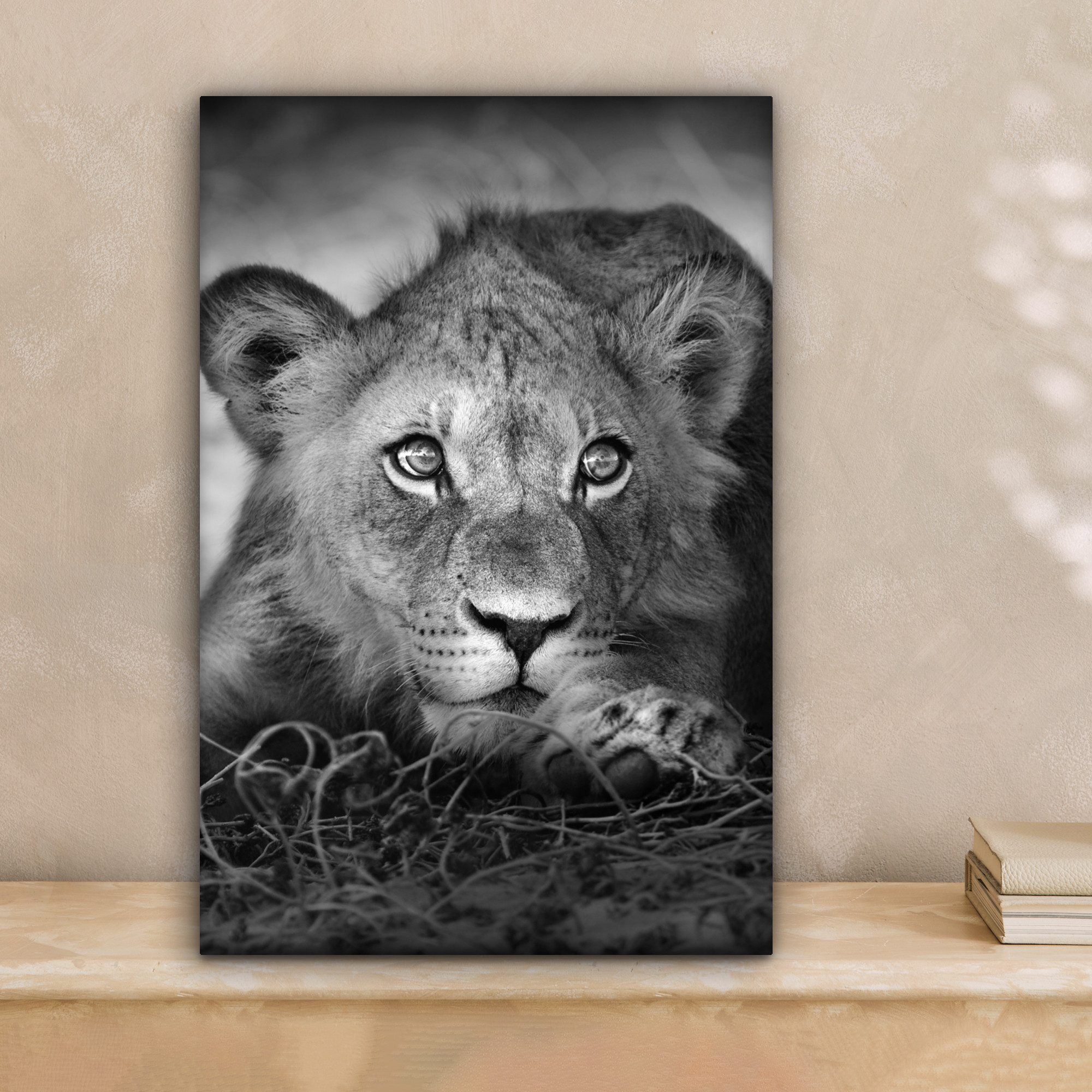 OneMillionCanvasses® Leinwandbild Wildtiere - Löwe - Natur - Schwarz - Weiß günstig online kaufen