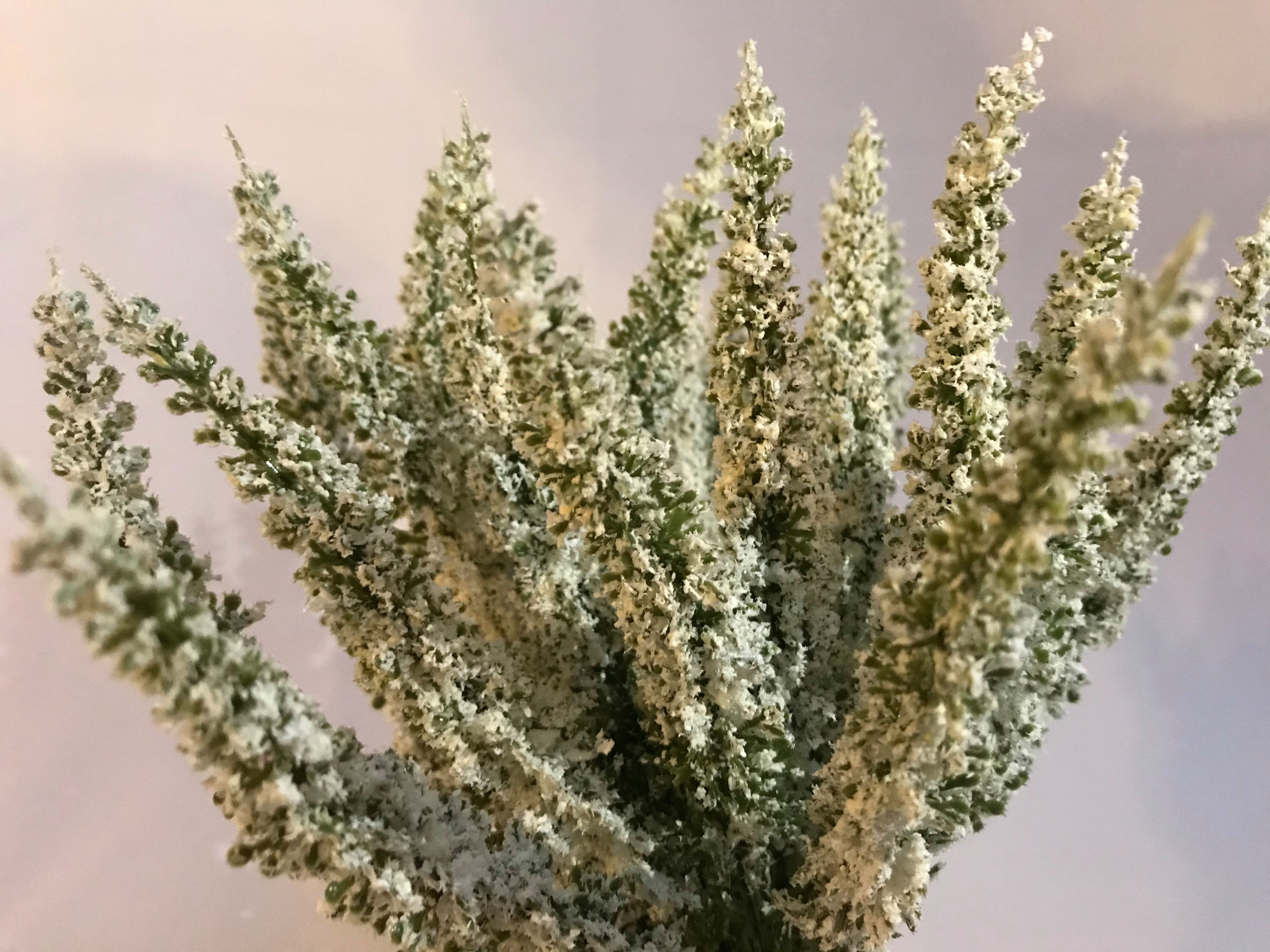 Kunstblume Erika Calluna auf Steckstab, Heidekraut 28cm mit 24 Blütenstiele, mucPlants – Bild 3 von 3