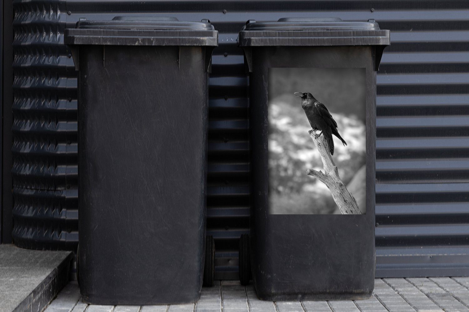 abgebrochenen und Ast Wandsticker St), schwarz Mülltonne, (1 Abfalbehälter Container, auf Sticker, Rabe einem - Mülleimer-aufkleber, Ein MuchoWow weiß schwarzer