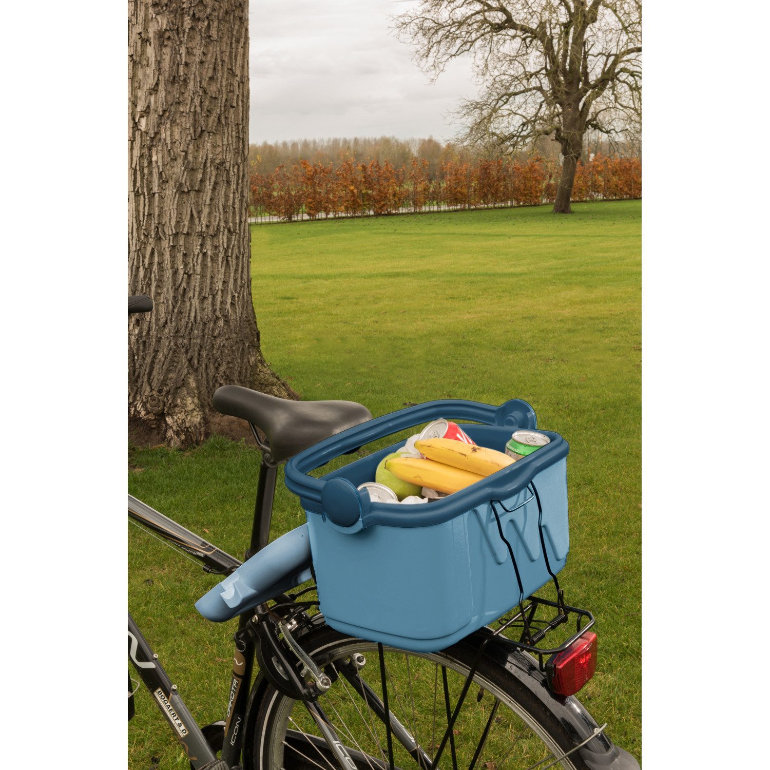 Curver Kühlbox, Travel Refrigerator Reisekühlbox