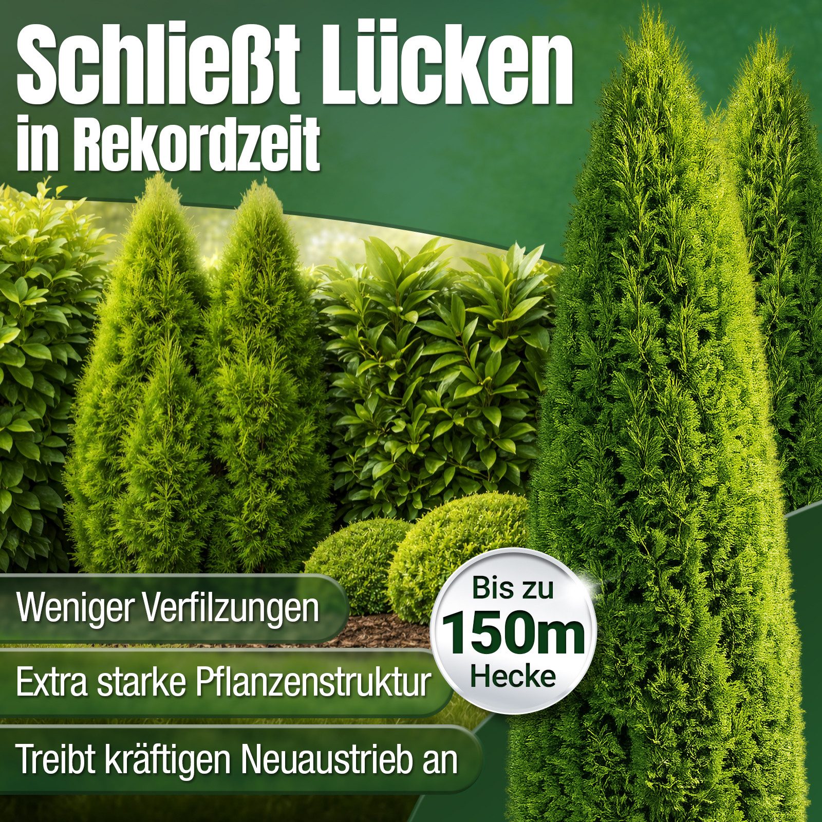 DÜNGEMEISTER Spezialdünger Heckenretter Heckendünger Dünger für grüne Hecken 5/10kg, Granulat, Extra Magnesium, Spezialdünger für Hecken, junge Gehölze und Neua – Bild 5 von 5