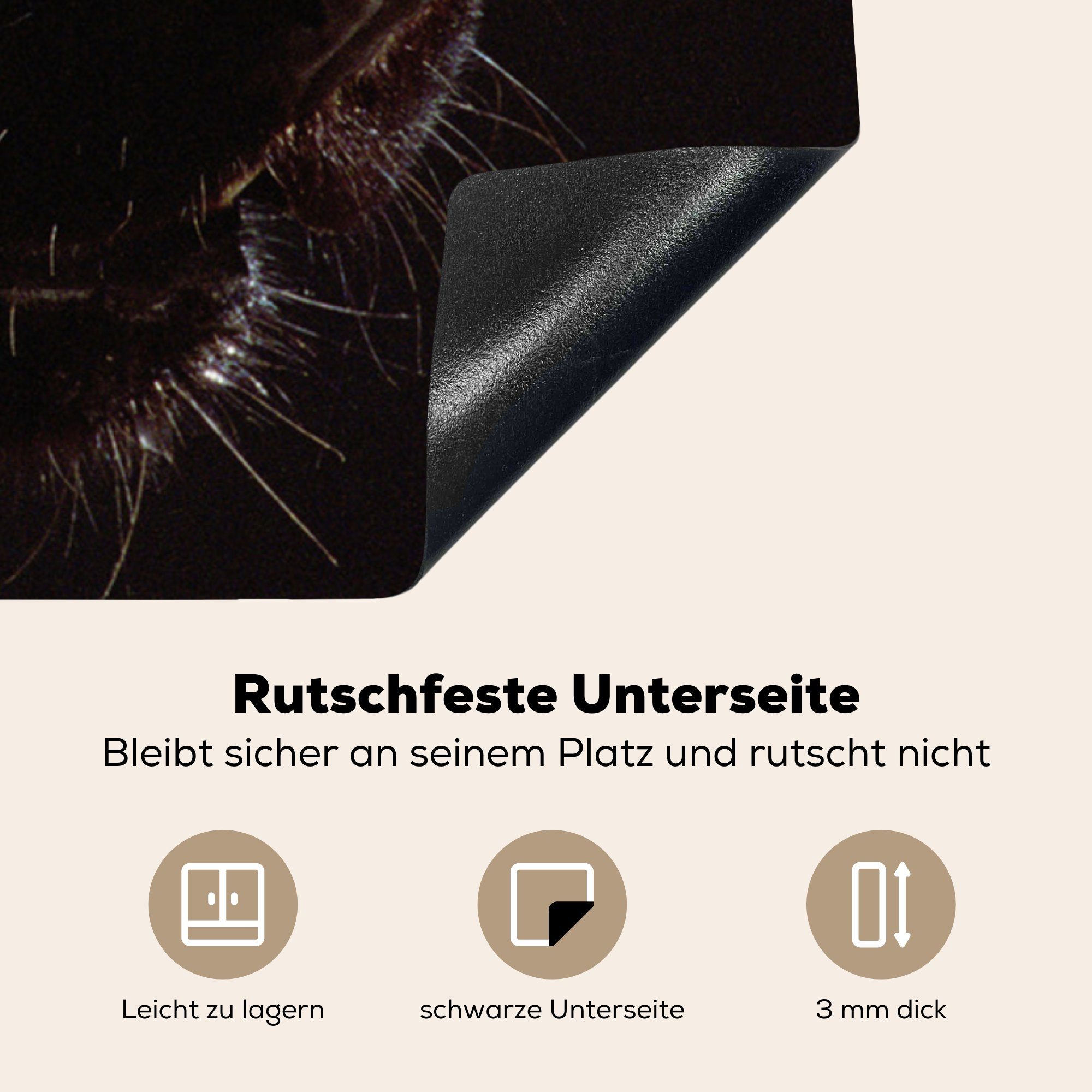 Panther Arbeitsplatte Schwarz, küche - (1 - cm, MuchoWow tlg), Vinyl, für 78x78 Tier Ceranfeldabdeckung, Herdblende-/Abdeckplatte