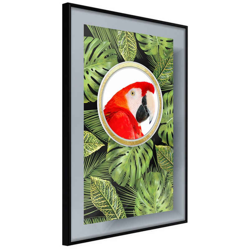 Artgeist Poster Parrot In The Jungle []