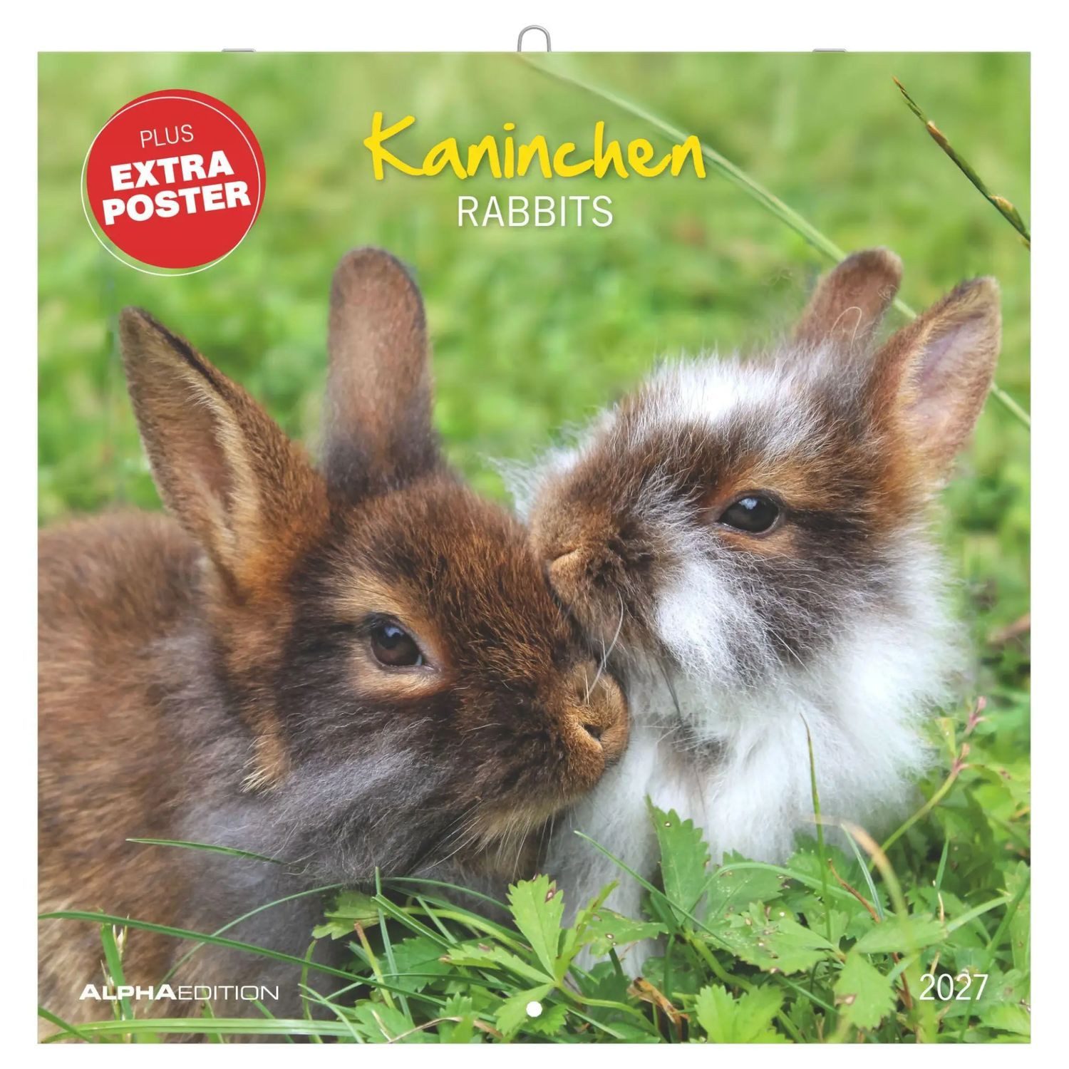 NEUMANN Wandkalender Kaninchen 2027