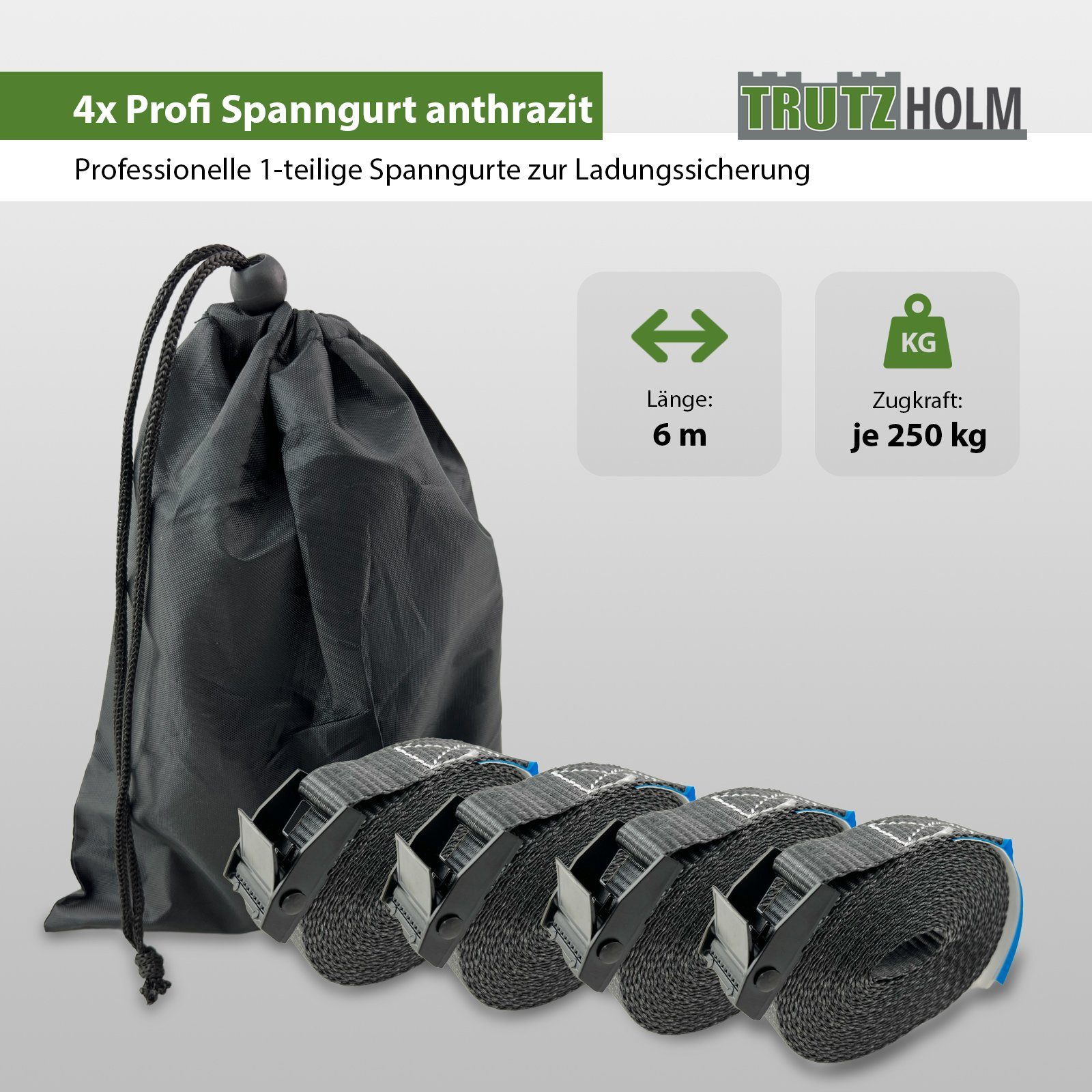 kg 6m Spanngurt Profi Klemmschloss Spanngurt 4x Auto 250 Zurrgurt Gurt TRUTZHOLM 1-tlg (Set)