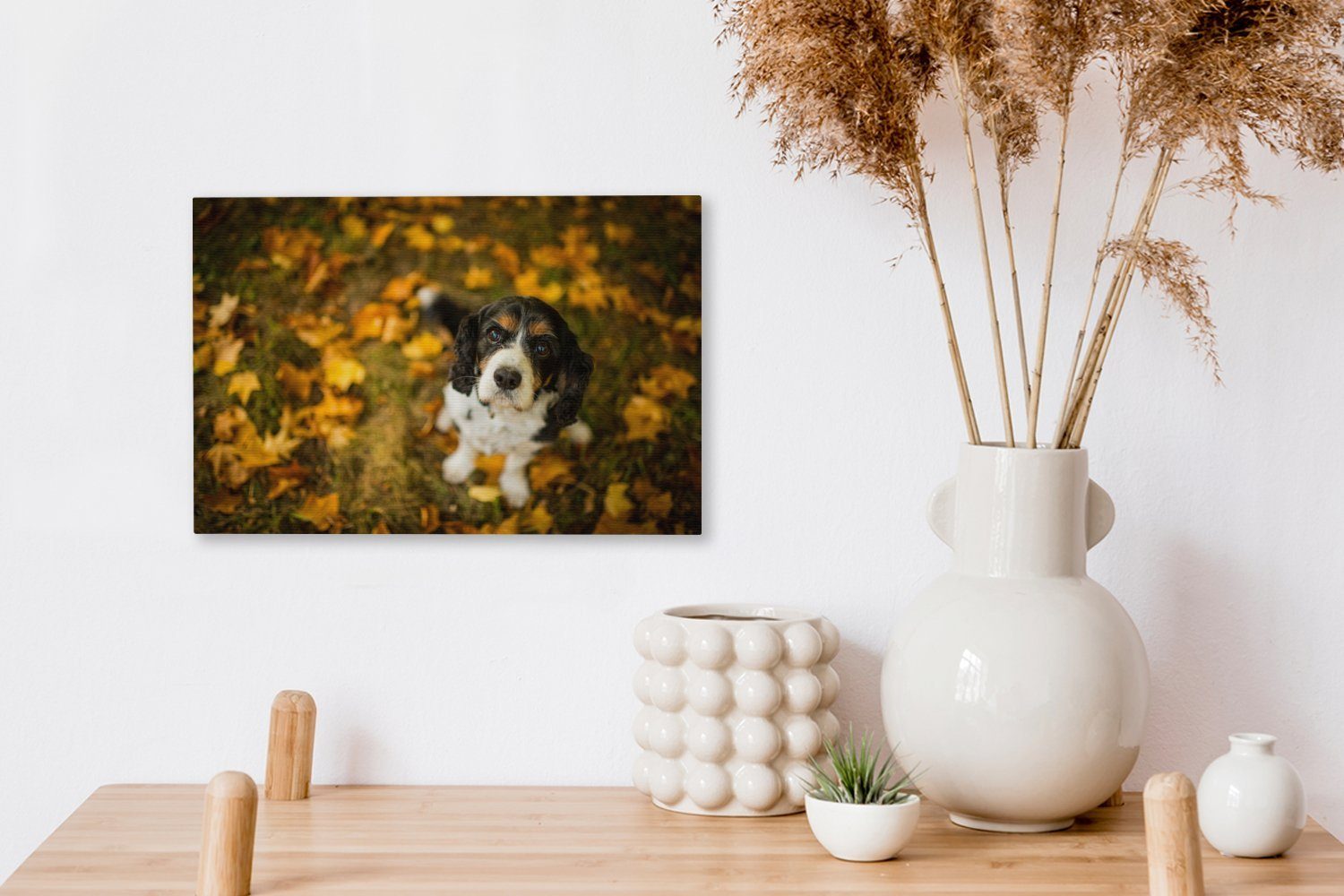 St), Aufhängefertig, Spaniel Charles gelben (1 Leinwandbild King und 30x20 Wandbild cm Leinwandbilder, orangefarbenen, OneMillionCanvasses® Wanddeko, zwischen Cavalier