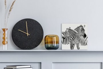 OneMillionCanvasses® Leinwandbild Zwei Zebras auf weißem Hintergrund, (1 St), Leinwand Bilder für Wohnzimmer Schlafzimmer