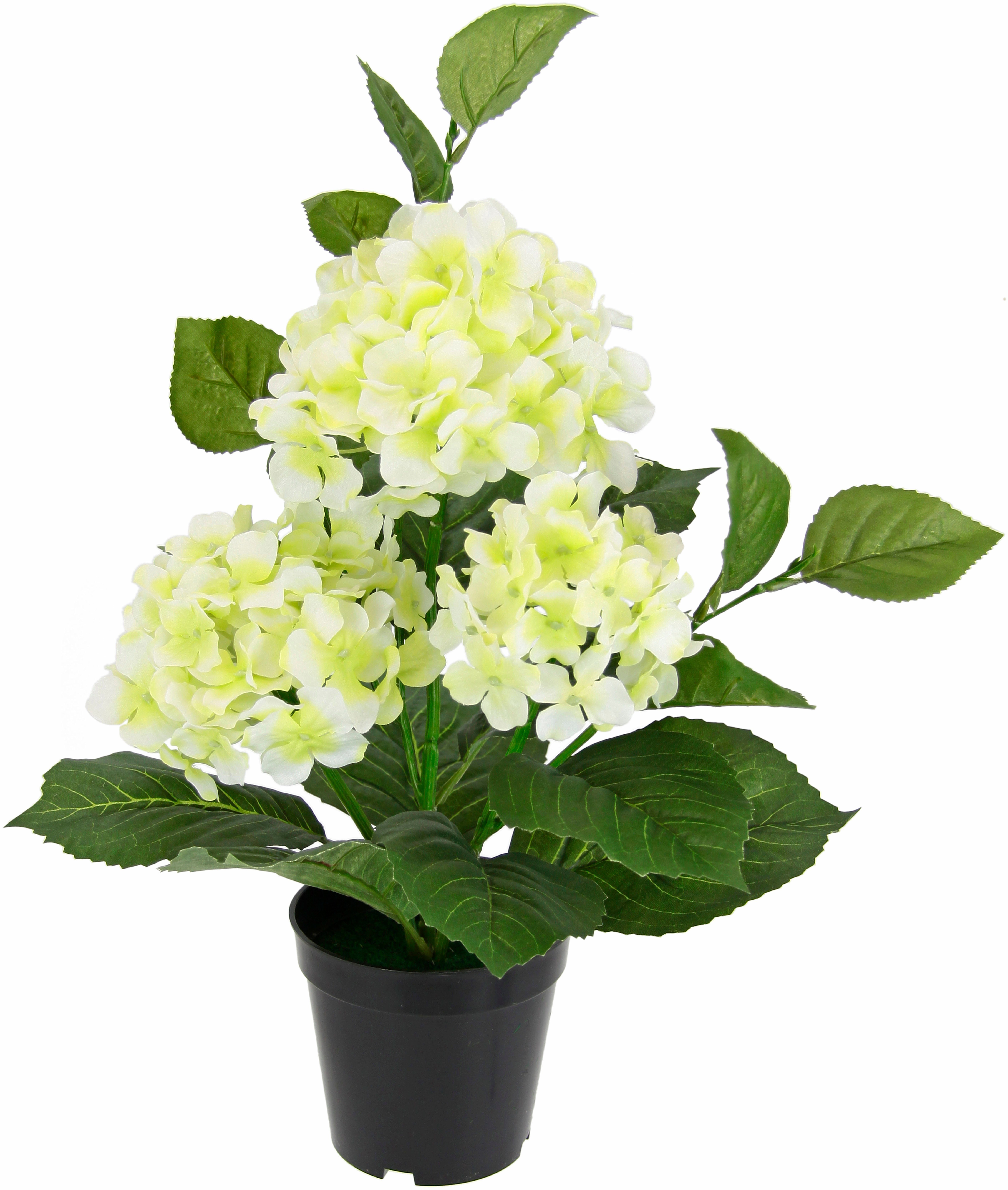 Kunstblume Hortensien, I.GE.A., Höhe 50 cm, Künstliche Hortensie im Topf Bl günstig online kaufen