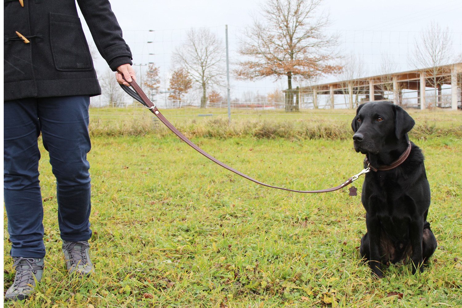 Thumbnail - Activity4Dogs Hundeleine für große Hunde Leder, 1m, mit gepolsterter Schlaufe, verschiedene Farben, Made in Germany