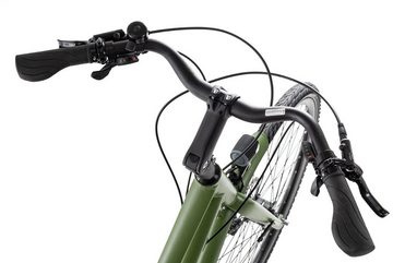 Bergrausch Trekkingrad Hochwilde Trapez, 27 Gang Shimano Alivio RD-M3100SGS Schaltwerk, Kettenschaltung, Herrenrad Damenrad 28 Zoll grün