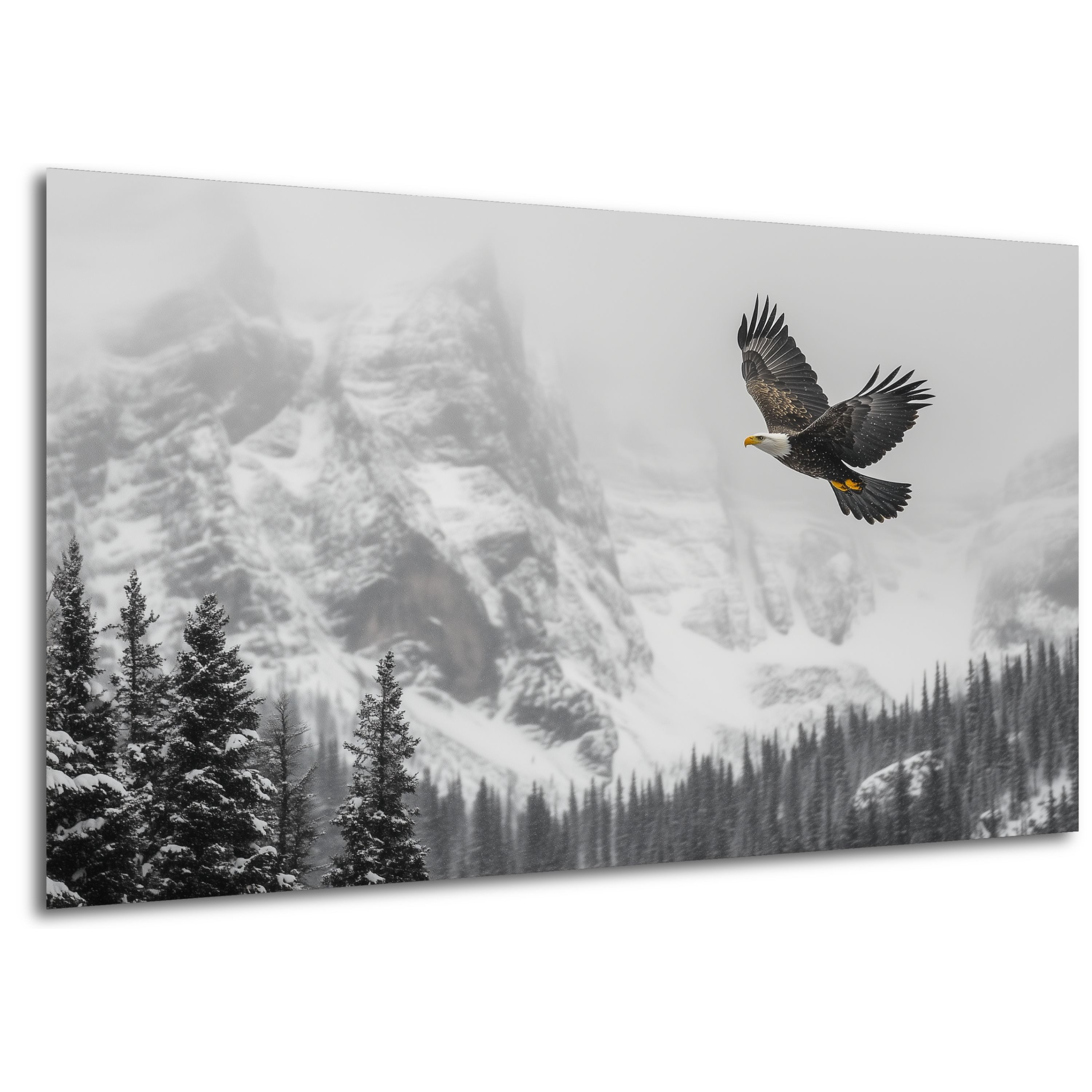 DARO Design Leinwandbild Modern Abstrakt Wandbilder XXL Wandbild Wand Deko Leinwand Bilder, (Adler - Bild groß Wohnzimmer Schlafzimmer Küche Esszimmer Einteilig Querformat Fotodruck Leinwände Wanddeko Abstrakte Kunst Boho), 30x20cm
