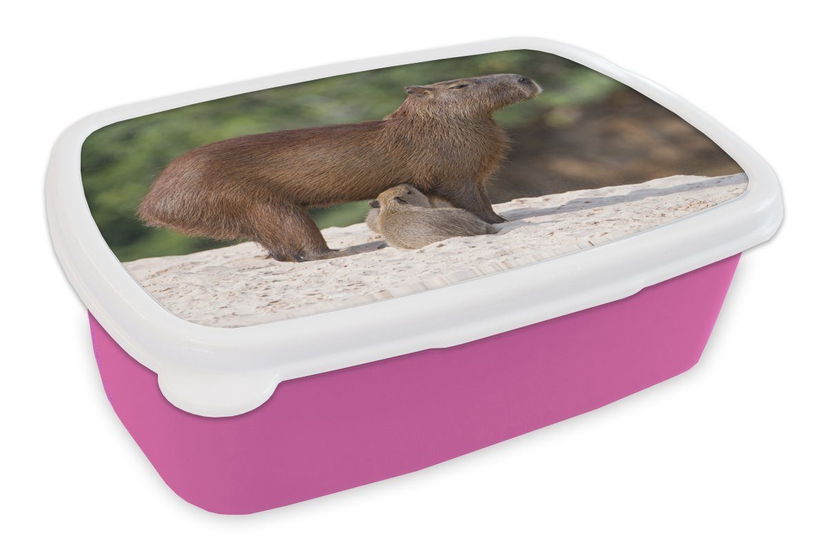 MuchoWow Lunchbox Zwei Wasserschweine füttern ihre Mutter auf einer Sandbank am Fluss, Kunststoff, (2-tlg), Brotbox für Erwachsene, Brotdose Kinder, Snackbox, Mädchen, Kunststoff rosa