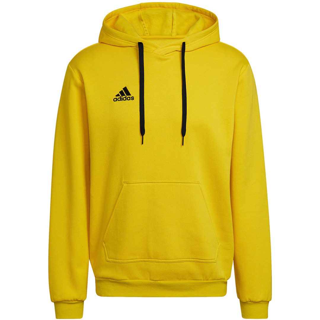 adidas Performance Kapuzensweatshirt Entrada 22