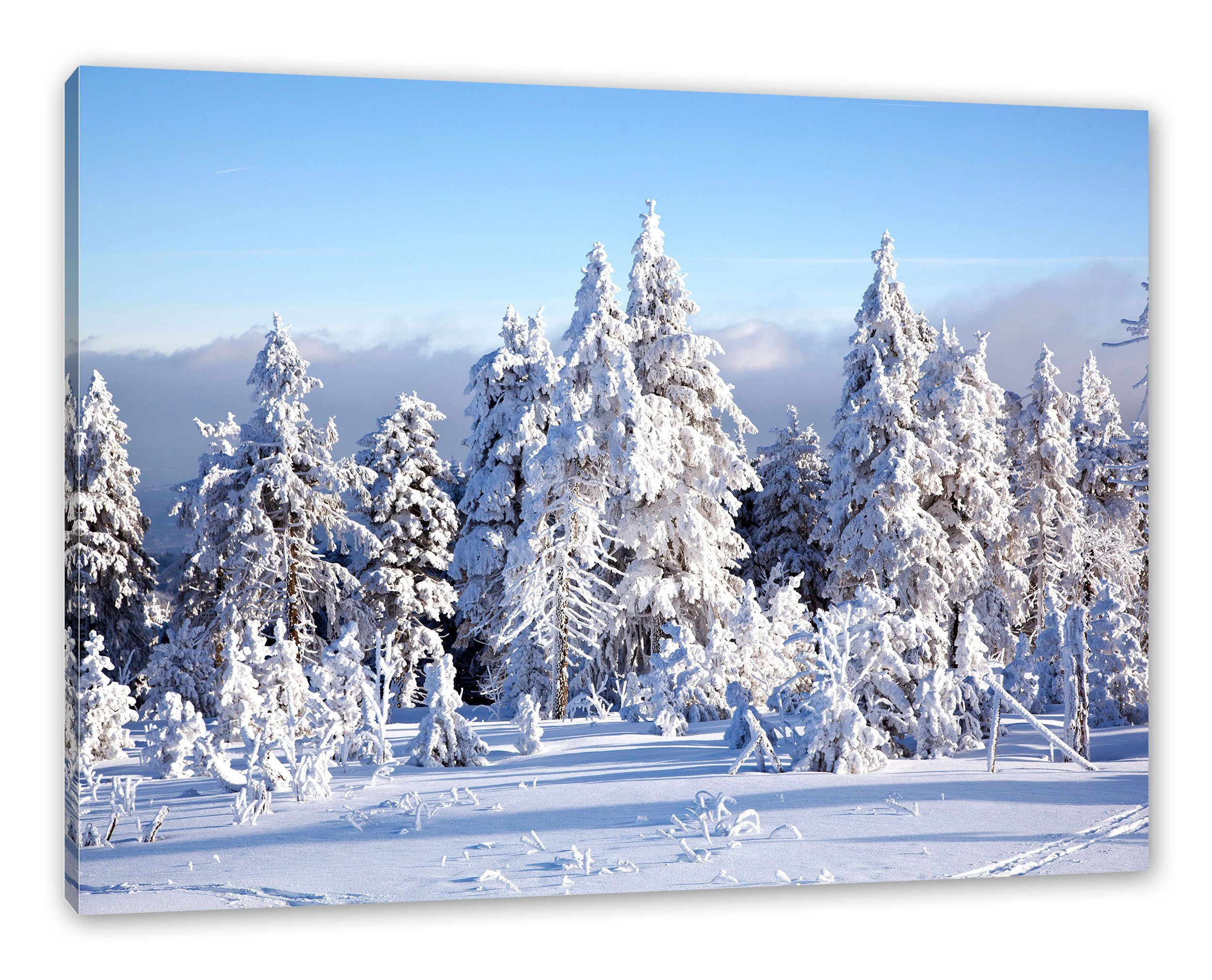 Pixxprint Leinwandbild Winterwald, Winterwald (1 St), günstig online kaufen