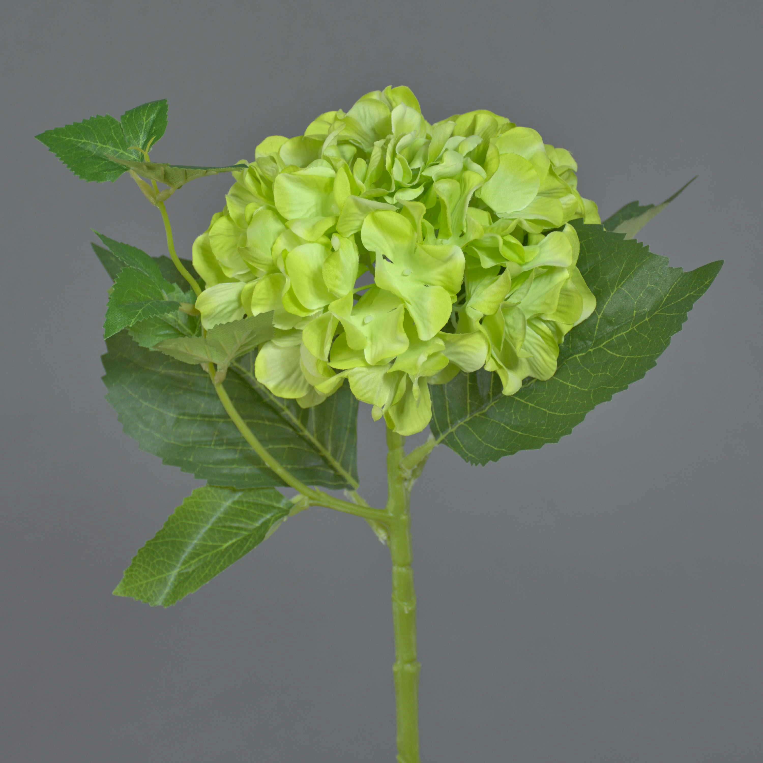 Kunstblume Kunstpflanze Hortensie VOSTE, grün, 45cm Hortensie, artplants, Höhe 45.0 cm