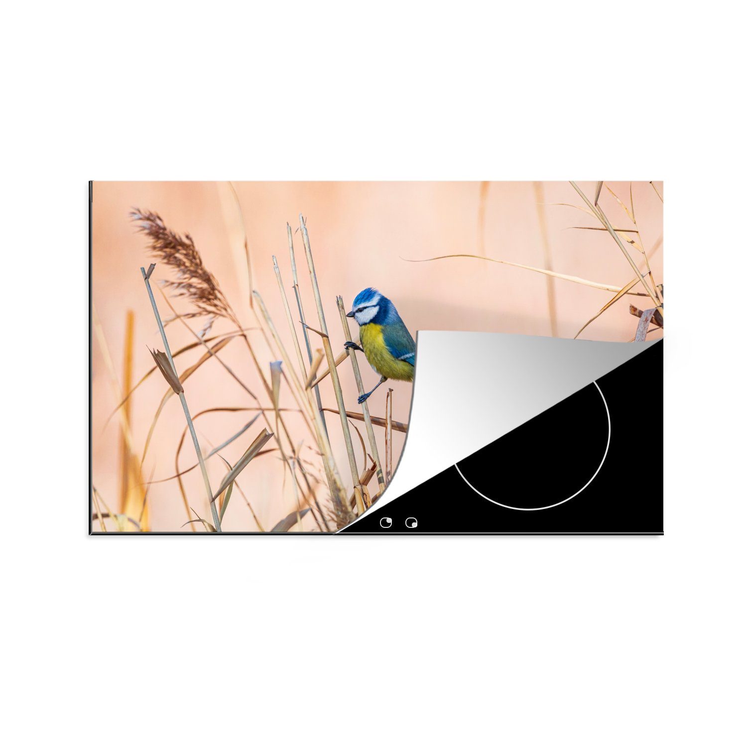 MuchoWow Herdblende-/Abdeckplatte Vogel - Blaumeise - Schilf, Vinyl, (1 tlg), 81x52 cm, Ceranfeldabdeckung, Arbeitsplatte für küche