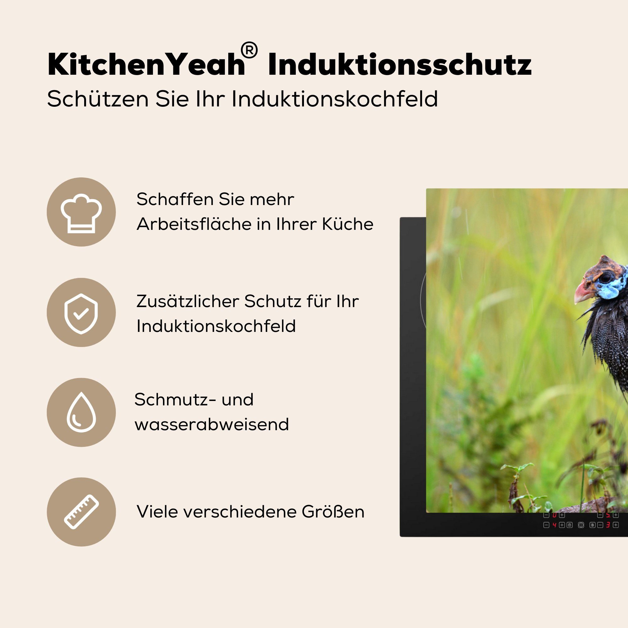 küche, (1 81x52 cm, Federn, tlg), die MuchoWow Herdblende-/Abdeckplatte Induktionskochfeld Schutz für - Perlhühner Vögel - Ceranfeldabdeckung Vinyl,