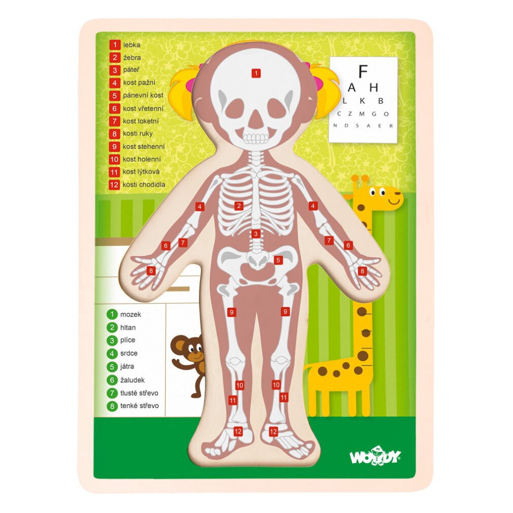 WrapUp Toys Spiel Puzzle ''Menschlicher Körper'' - Holka CZ