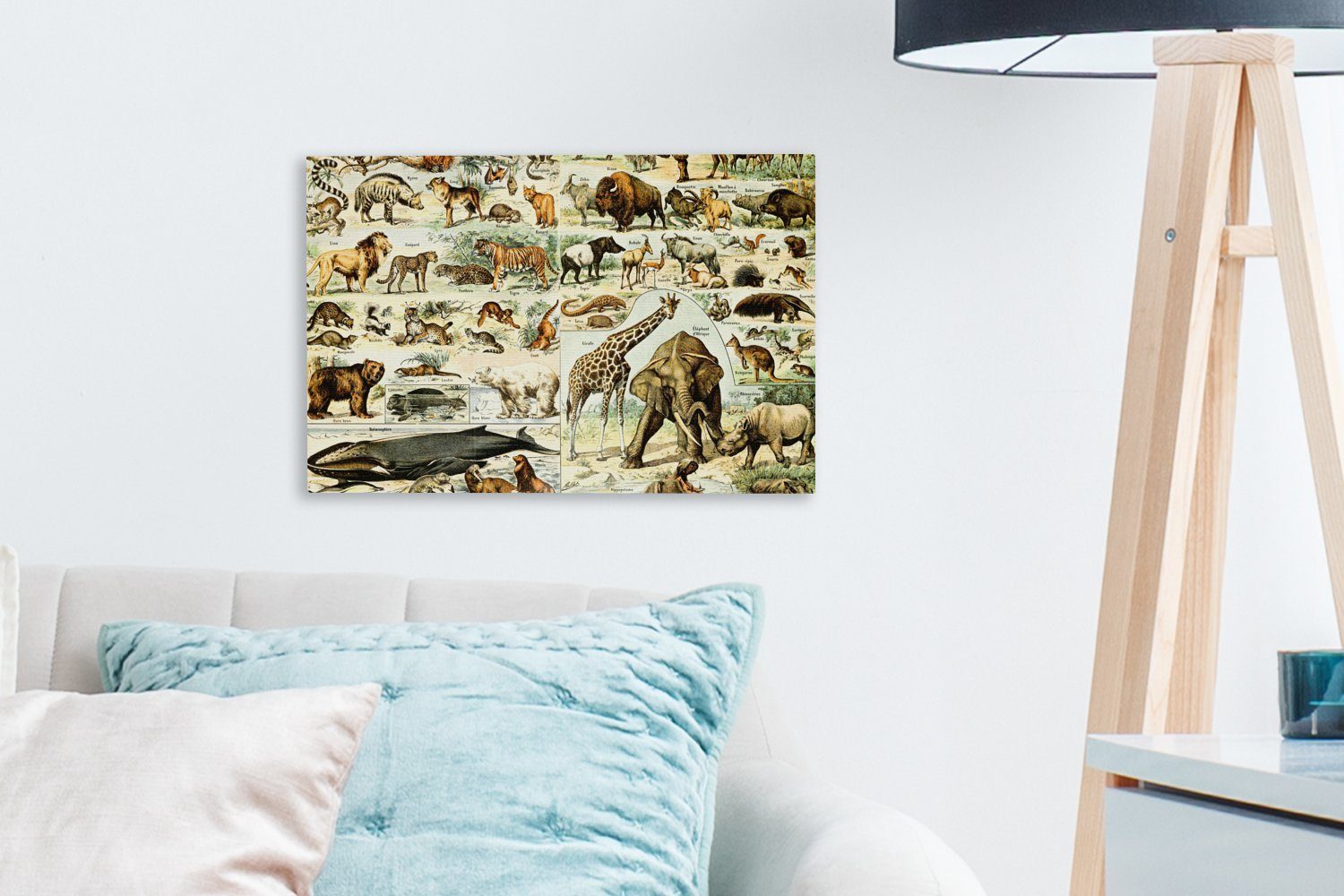 (1 - Giraffe Leinwandbild St), Tiere Löwe, Wanddeko, 30x20 - Wandbild Aufhängefertig, Leinwandbilder, OneMillionCanvasses® cm