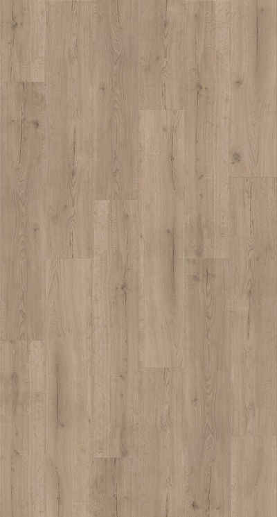 PARADOR Vinylboden »Basic 2.0 - Eiche Infinity Grau«, 122,1 x 22,9 x 0,2 cm, 4,5 m²