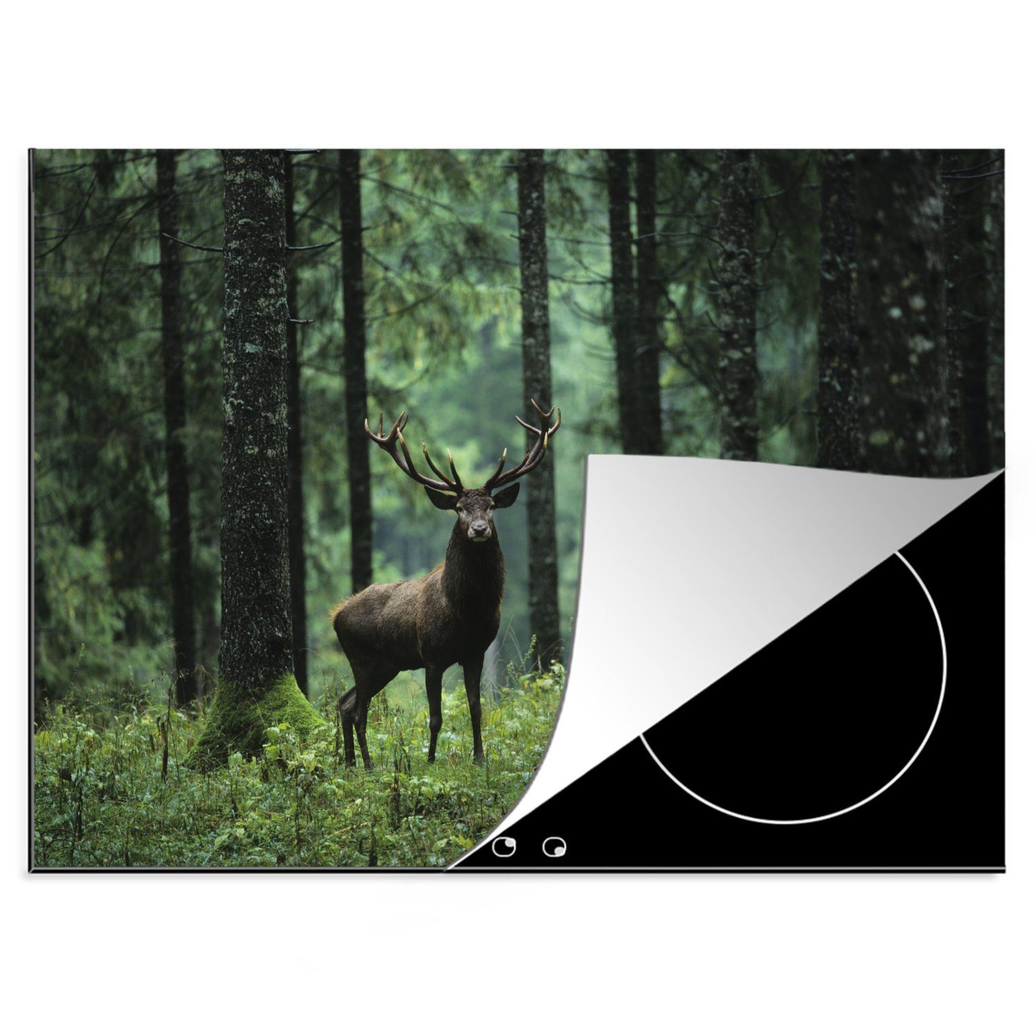 MuchoWow Herdblende-/Abdeckplatte Hirsche im Wald, Vinyl, (1 tlg), 70x52 cm, Mobile Arbeitsfläche nutzbar, Ceranfeldabdeckung
