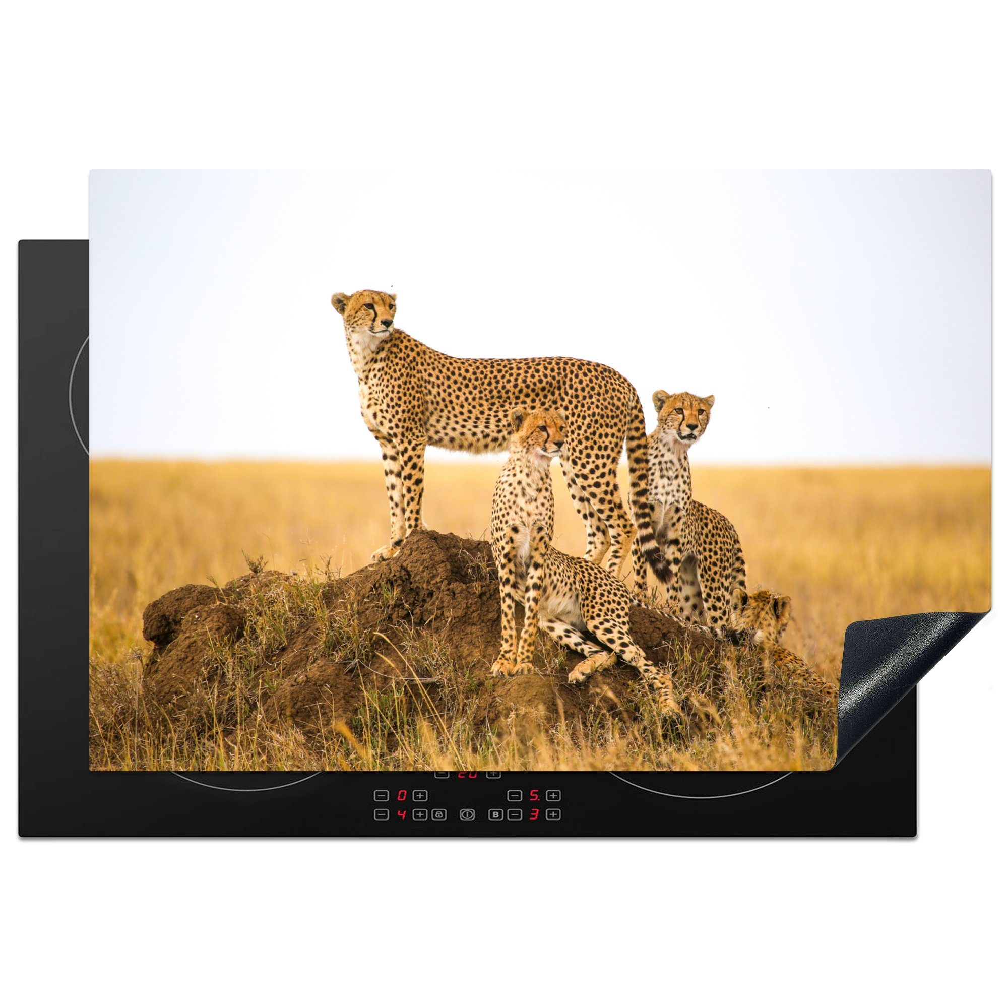 MuchoWow Herdblende-/Abdeckplatte Gepard - Gras - Natur - Savanne, Vinyl, (1 tlg), 77x51 cm, Ceranfeldabdeckung, Arbeitsplatte für küche